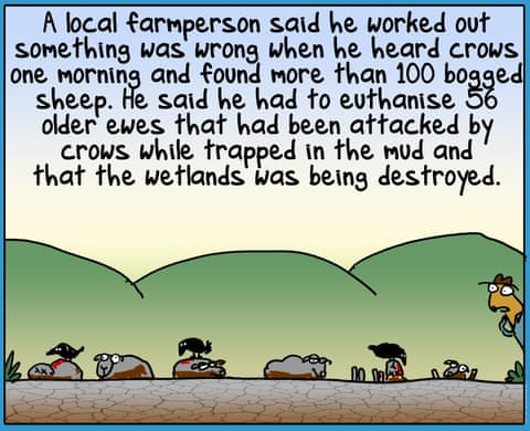 First Dog on the Moon cartoon called Turtle Murder, panel 5