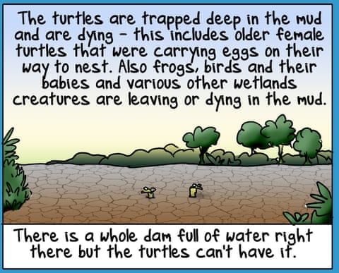 First Dog on the Moon cartoon called Turtle Murder, panel 3