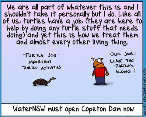 First Dog on the Moon cartoon called Turtle Murder, panel 7