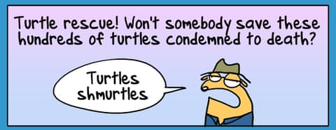 First Dog on the Moon cartoon called Turtle Murder, panel 1