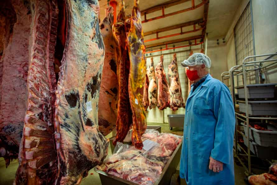 A man wearing a blue butchers’ coat, mask and hair net looks over sides of beef in a meat locker.