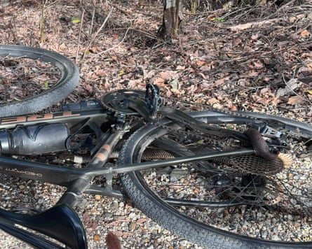 An eastern brown snake tangled in a bike chain