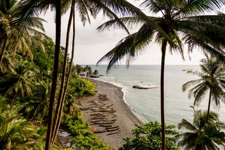 An overhead look at a beach with palm trees and the ocean