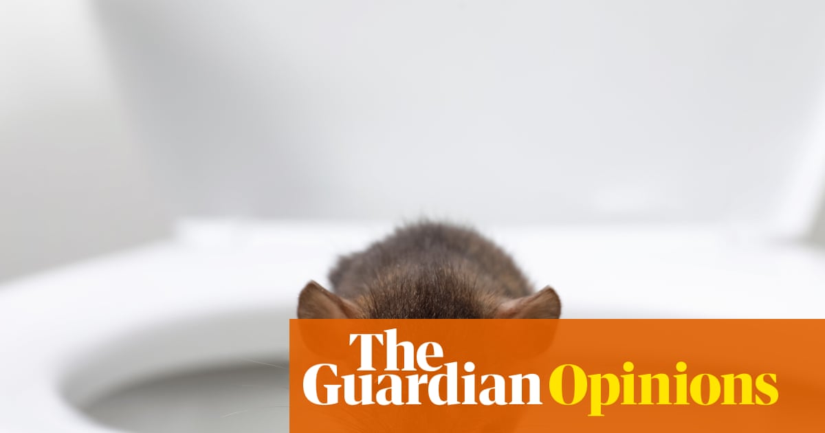 Is there a rat hiding in your toilet? Are you sure? Really sure? | Polly Hudson