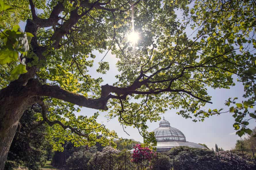 The Victoria Palm House in Sefton Park.