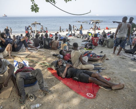 People sit or lie on the ground near a tree on a beach
