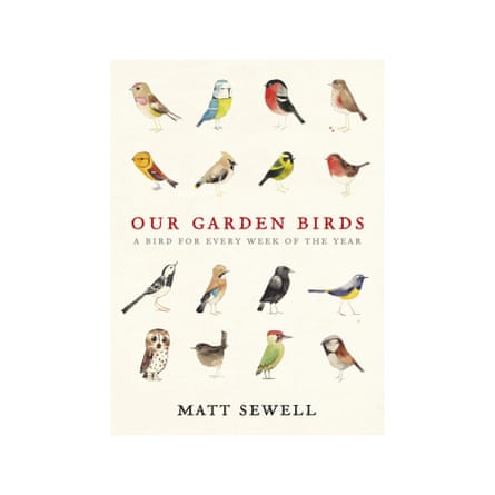 Matt Sewell Our Garden Birds book copy