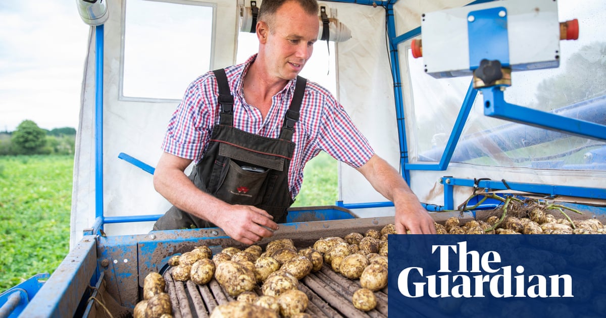 UK potato farmers fear another washout for this year's crop - The Guardian