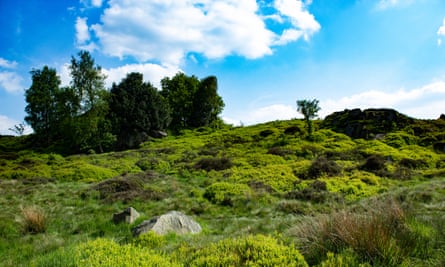 Bomb Rocks, Charnwood Lodge, Leicestershire