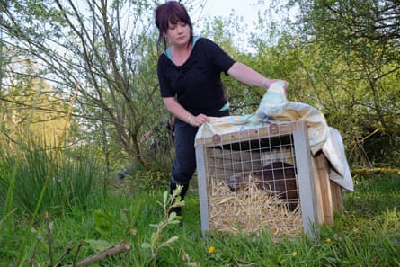Roisin Campbell-Palmer with a beaver in a crate, ready for release at a secret location in the south-west of England.