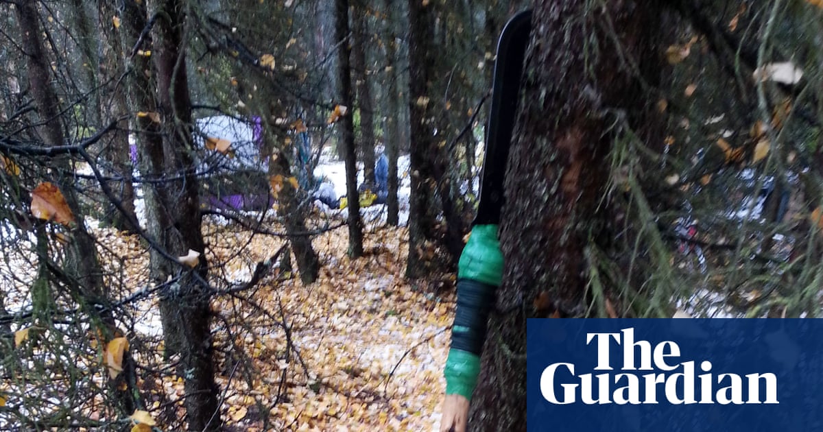 Man kills bear cub with makeshift spear at illegal Alaska campsite