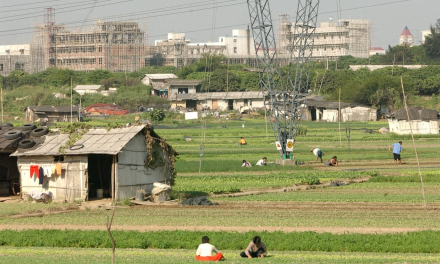 Agricultural workers tend to fields overlooked by the fast-developing towers and factories of Guangzhou.