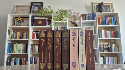 Paperbacks of the novel arranged in the foreground, with white shelves full of books behind