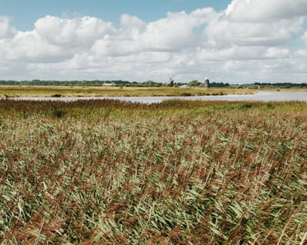 Banks of the River Yare