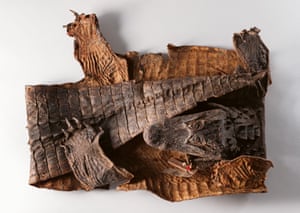 Chinese alligator – critically endangered