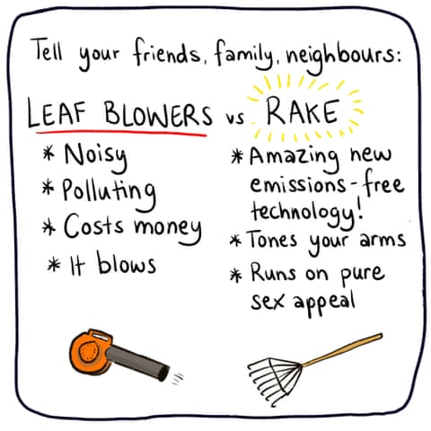 Cartoon by Jess Harwood titled The Answer is Blowing in the Wind, panel 6