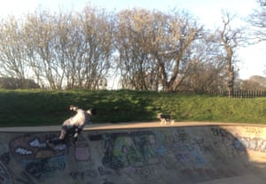 A combination of activities.