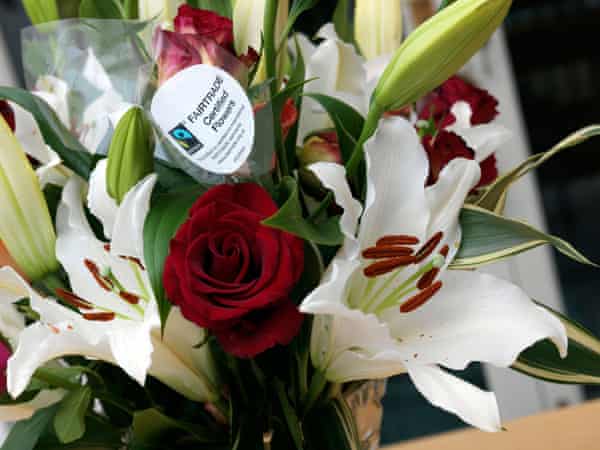 How UK shoppers can buy beautifully ethical flowers | Consumer affairs