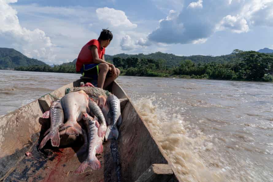 Un joven Esse Ejja se sienta en un bote lleno de peces en un río.