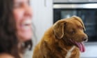 World's oldest known dog dies aged 31 after being saved from shallow grave as pup