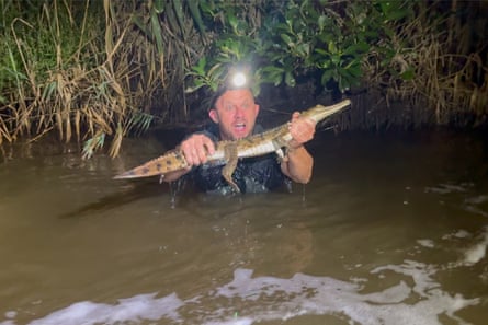 Billy Collett is pictured holding the freshwater crocodile in the creek on Sunday night