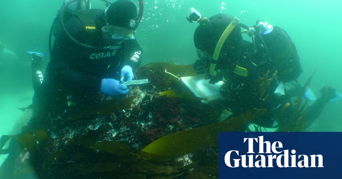 A search for ourselves: shipwreck becomes focus of slavery debate
