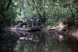 Une barge utilisée par des mineurs illégaux pour aspirer la boue et extraire les particules d'or, cachée près de la rivière Uraricoera.
