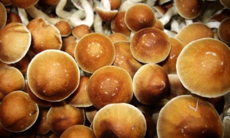 Outside of recreational use, magic mushrooms have been shown in clinical trials to treat severe depression, anxiety and post-traumatic stress disorder.