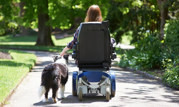 Back view of a disabled woman in a wheelchair taking her dog for a walk at the park.