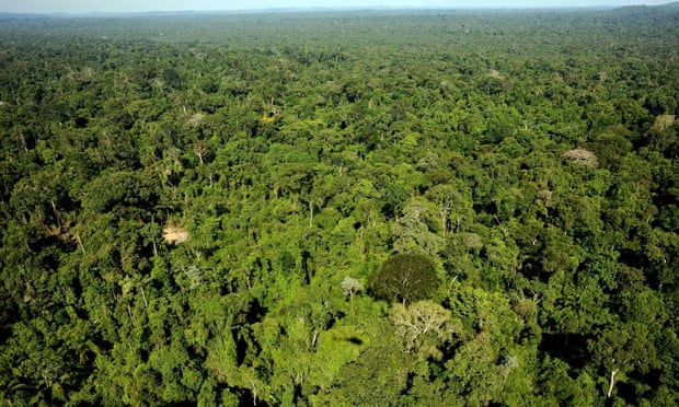 An aerial view of the Amazon forest reserve of Trairao, in Para State, northern Brazil