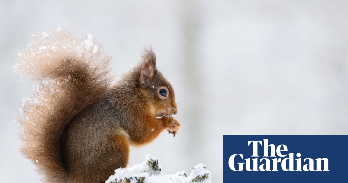 UK Rolls Back Environmental Protections, Falls Behind EU Standards Post-Brexit