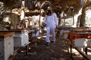 A man in a beekeeper’s suit walks between his hives under a roof made of palm leaves