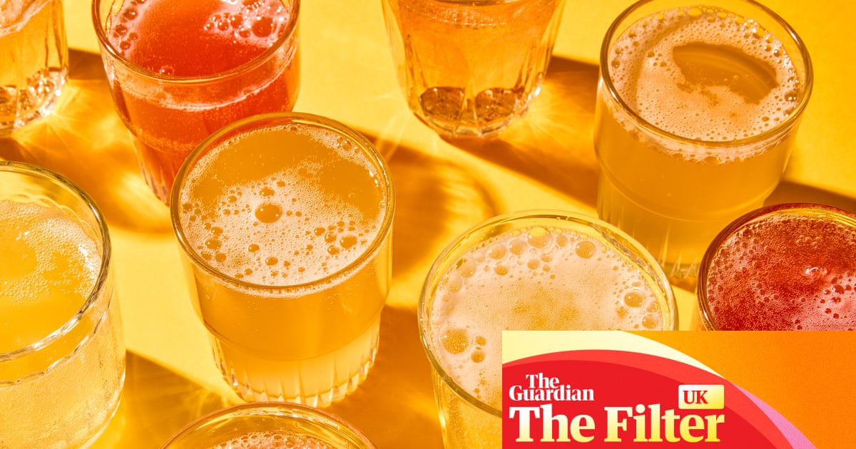 ‘Extraordinary – a great alcohol alternative’: the best supermarket kombuchas, tasted and rated