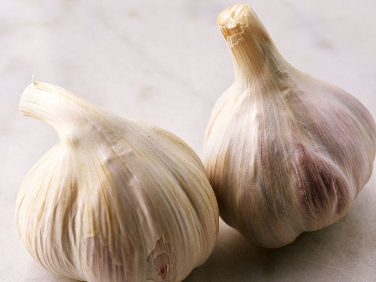 Translation Tuesday A From A 17th Century Spanish Dictionary Books The Guardian