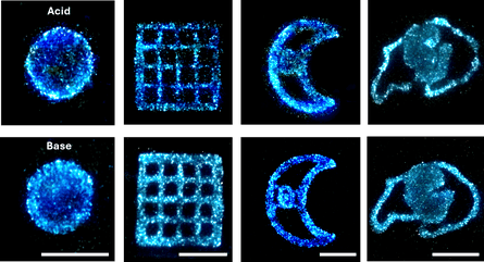 Eight images of 3D-print blobby shapes glowing a shade of cyan blue