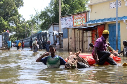 A frightened donkey bares its teeth as a boy leads it and the cart it is pulling through flood water more than a metre deep