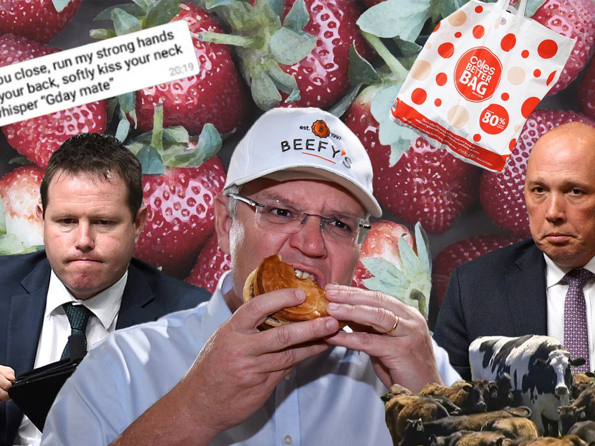 What S The Go With The Memes A Roundup Of Australia S Best In 2018 Australia News The Guardian