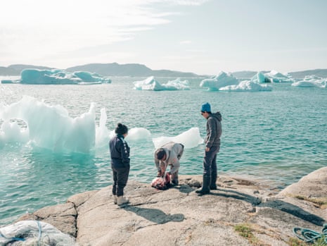 three people skinning a seal