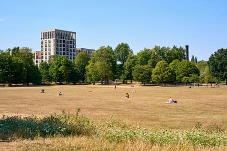 A parched area of grassland with trees and a high-rise building in the background