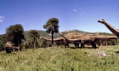WALKING WITH DINOSAURS: A TIME OF TITANS<br>Picture Shows: a graphic of Diplodocus herd walking among monkey puzzle (araucaria) TX:BBC ONE Monday, October 11 1999 Set 152 million years ago, 'A Time of Titans' follows the story of a newborn Diplodocus female. She survives an attack by the vicious Allosaurus to reach her mature weight of 25 tonnes and mate for the first time, completing her cycle of life. WARNING: This copyright image may be used only to publicise current BBC programmes or other BBC output. Any other use whatsoever without specific prior approval from the BBC may result in legal action.