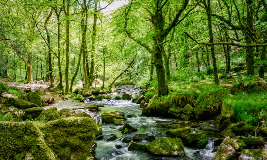 The falls on the River Fowey