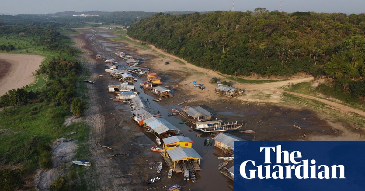 Devastating drought in Amazon result of climate crisis, study shows | Amazon rainforest