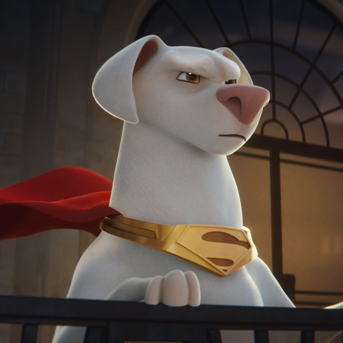 DC League of Super-Pets review – all-star cast carries cute superhero romp  | Movies | The Guardian