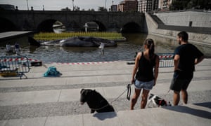hyper-real whale found beached in Madrid – Trending Stuff Madrid