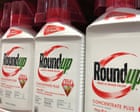 Lawyers for US cancer sufferers challenge Bayer’s $7.25bn Roundup settlement deal