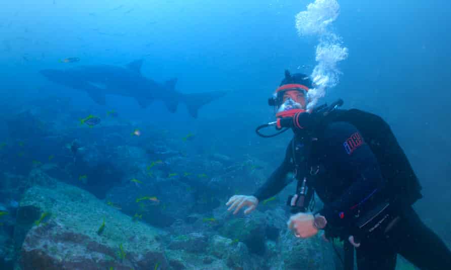 Chris Hemsworth diving with sharks.