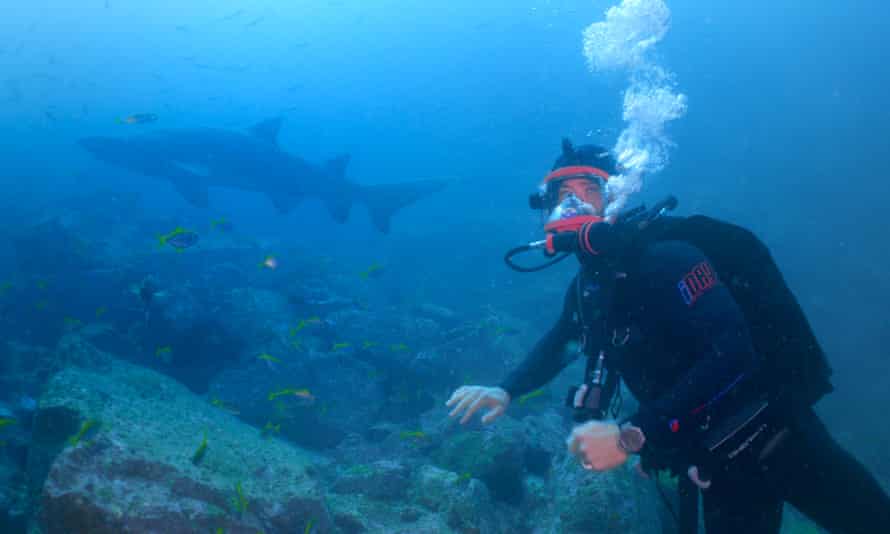 Chris Hemsworth underwater diving with shark.