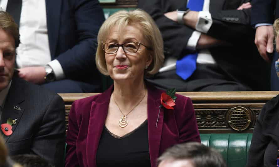 Andrea Leadsom in the House of Commons