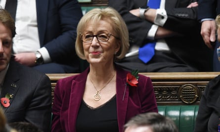 Andrea Leadsom in the House of Commons
