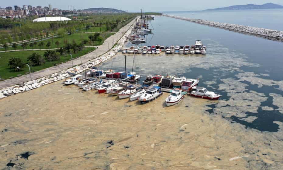An aerial view of sea snot in Istanbul.